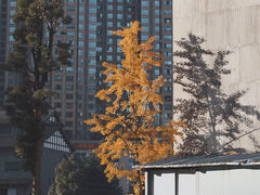 -花果园湿地公园