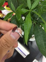 -威德钻石-克拉钻大本营(南京东路店)