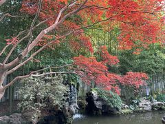 -上海醉白池公园