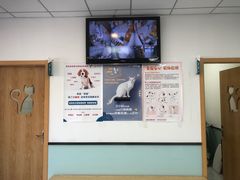 -中农大我爱我爱动物医院·核磁CT·猫病·24小时夜诊中心(石佛营店)
