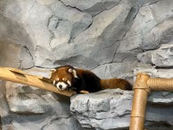 -Zoolung Zoolung动物主题公园(海信广场店)