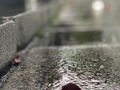 -天语雅阁(永乐路店)