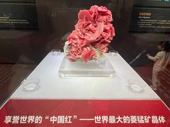 -湖南省地质博物馆