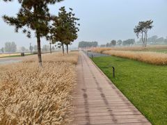 -汉长安城未央宫国家考古遗址公园