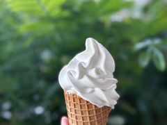 海盐水牛乳冰淇淋-SAANCI山池咖啡(海上世界文化艺术中心店)