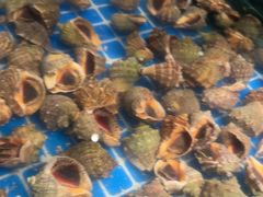 -宴立方海鲜自助(义乌万达广场店)