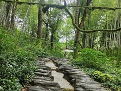 -石燕湖生态旅游景区