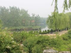 -济南植物园