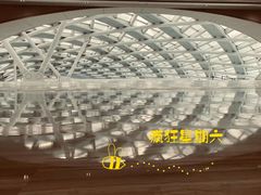 -凤凰中心