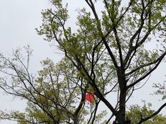 -冶父山国家森林公园
