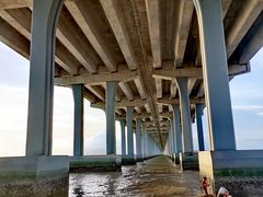 -宝安西湾红树林湿地公园