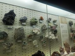 -浙江自然博物院(杭州馆)