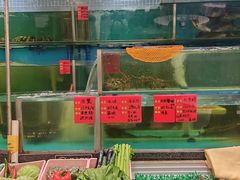 -佳佳美·囍悦水乡