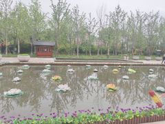 -天河潭旅游度假区