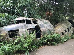 -热带雨林自然公园