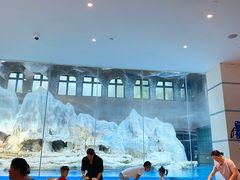 -帝企鹅自助餐厅•儿童岛•真企鹅(长隆企鹅酒店)