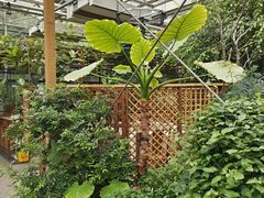 -金稼园·金平湖农家菜