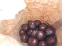 糖炒栗子-秋栗香(地安门店)