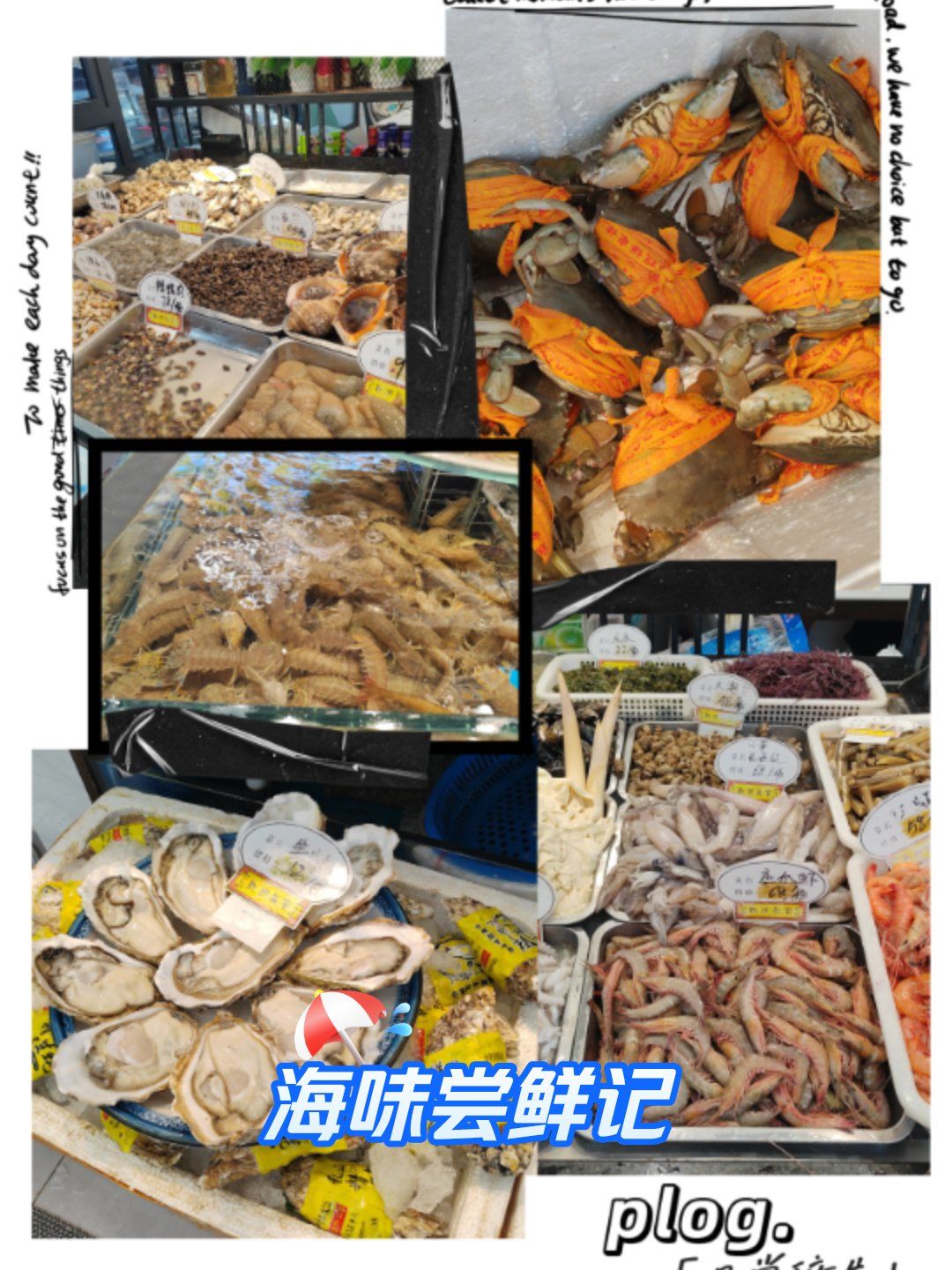 健跳小海鲜,跳进嘴里来