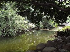 -成都市活水公园
