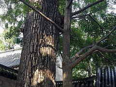 -青岛崂山太清宫