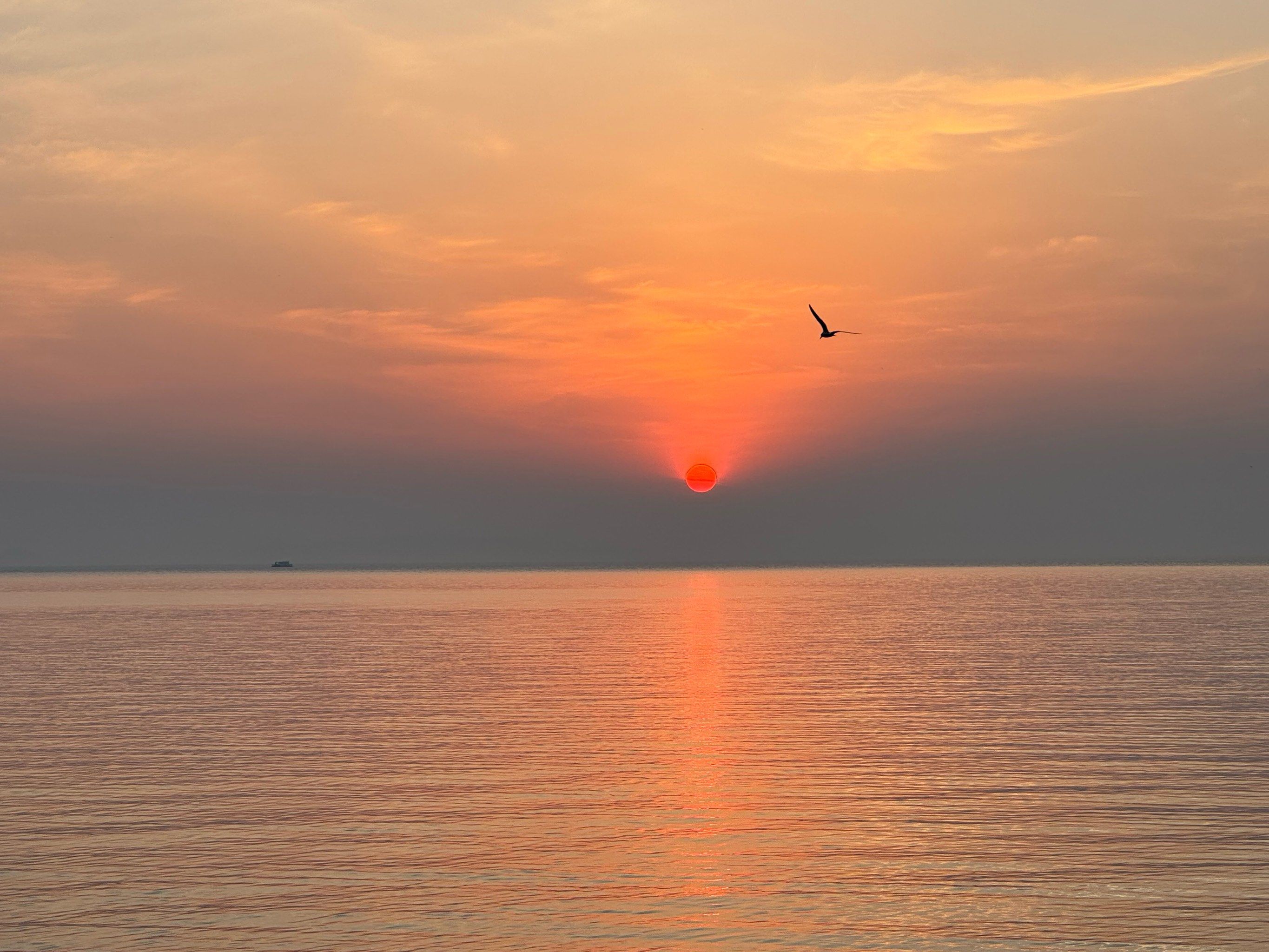 烟台海边的日出和日落