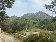 -大岭沟猕猴桃谷风景区