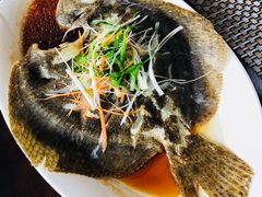 清蒸多宝鱼-蜈支洲岛珊瑚酒店临海阁中餐厅
