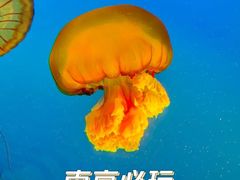 -南京海底世界
