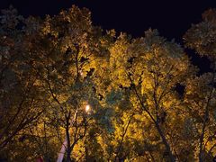 -三月居酒屋(青年大街店)