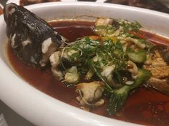 清蒸活青斑鱼-怡情荟•海鲜青岛菜(五四广场旗舰店)