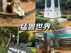-清迈夜间动物园