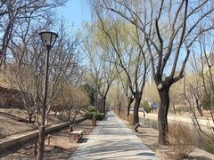 -元大都城垣遗址公园