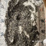 油条包麻糍，好吃到爆炸