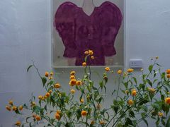 -曲廊院(东四十一条店)