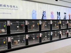 -翊宠yipet猫狗购宠庄园犬舍•猫舍