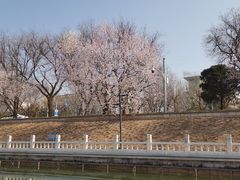 -皇家御河游(紫御湾码头)