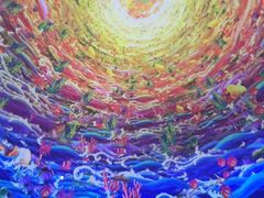 -海合安武汉极地海洋公园