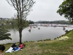 -枫香湖儿童公园