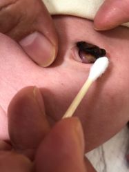 -大连市妇女儿童医疗中心