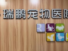 -瑞鹏·疫苗·绝育·宠物医院(广九店)