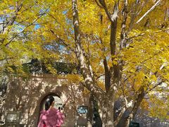 -北京凤凰岭