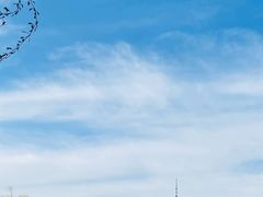 -中央广播电视塔