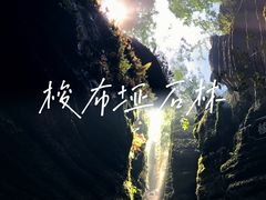 -梭布垭石林景区