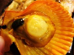 -土蚝·高压锅生蚝(百姓美食街店)