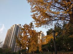 -苏州河梦清园环保主题公园