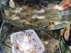 大螃蟹-蓝珊甄选海鲜自助·火锅大排档(近阿那亚店)