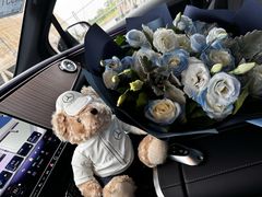 -奔驰利星行(北京花乡店)