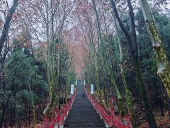 -窦圌山风景区