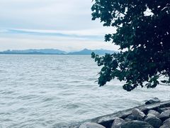 -深圳湾公园(南山区)